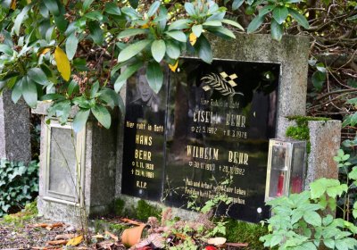 Vejprty, Omnium, 2020