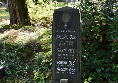 Vejprty, Omnium, 2020