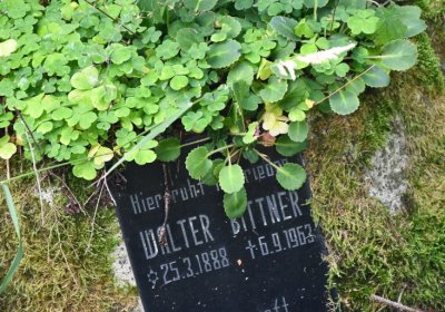 Vejprty, Omnium, 2020