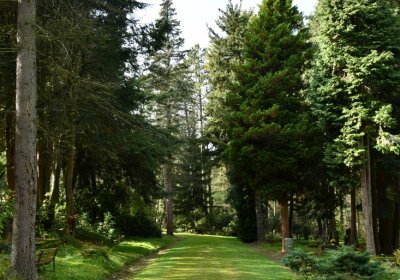 Vejprty, Omnium, 2020