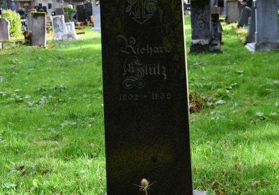 Vejprty, Omnium, 2020