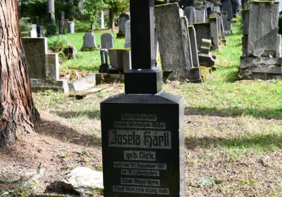 Vejprty, Omnium, 2020