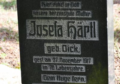 Vejprty, Omnium, 2020