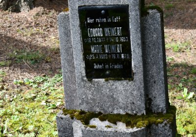 Vejprty, Omnium, 2020