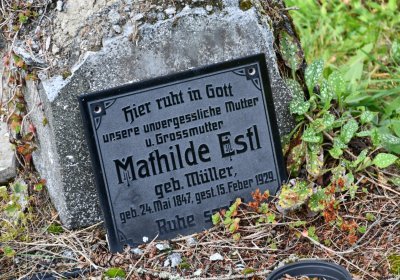 Vejprty, Omnium, 2020