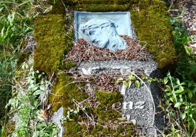 Vejprty, Omnium, 2020