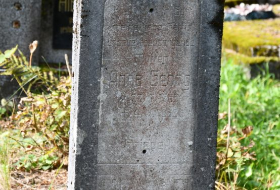 Vejprty, Omnium, 2020