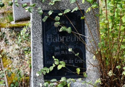 Vejprty, Omnium, 2020