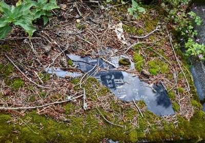 Vejprty, Omnium, 2020