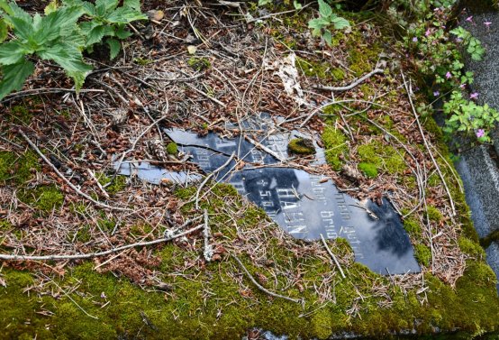 Vejprty, Omnium, 2020