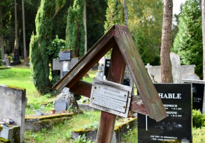 Vejprty, Omnium, 2020