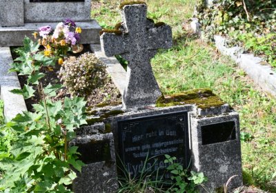 Vejprty, Omnium, 2020