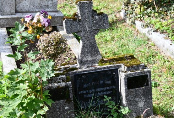 Vejprty, Omnium, 2020