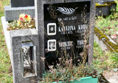 Vejprty, Omnium, 2020