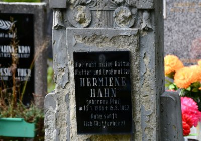 Vejprty, Omnium, 2020