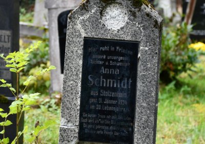 Vejprty, Omnium, 2020