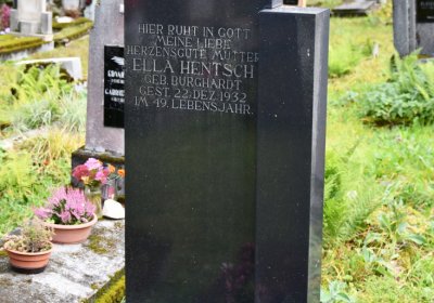 Vejprty, Omnium, 2020