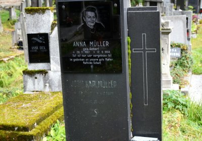 Vejprty, Omnium, 2020