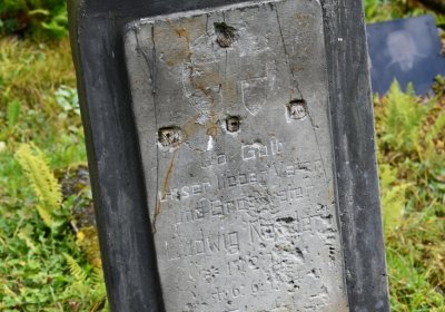 Vejprty, Omnium, 2020