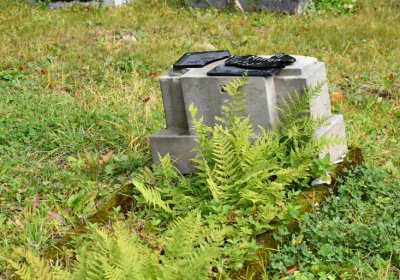 Vejprty, Omnium, 2020