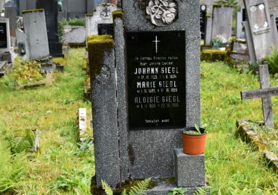 Vejprty, Omnium, 2020