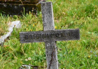 Vejprty, Omnium, 2020