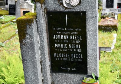 Vejprty, Omnium, 2020