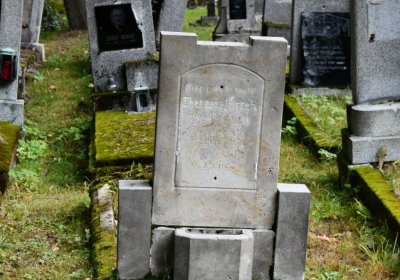 Vejprty, Omnium, 2020