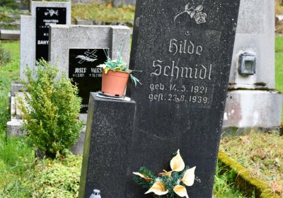 Vejprty, Omnium, 2020