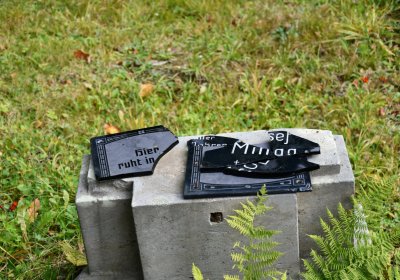 Vejprty, Omnium, 2020