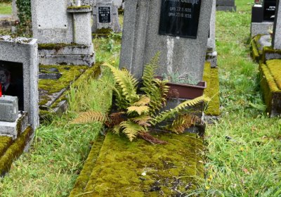 Vejprty, Omnium, 2020