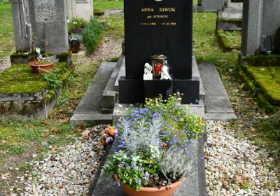 Vejprty, Omnium, 2020