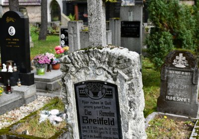 Vejprty, Omnium, 2020