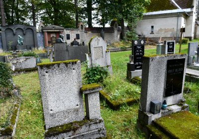 Vejprty, Omnium, 2020