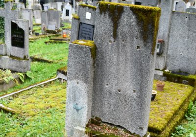 Vejprty, Omnium, 2020