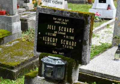 Vejprty, Omnium, 2020