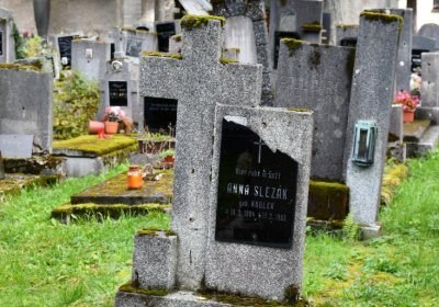 Vejprty, Omnium, 2020