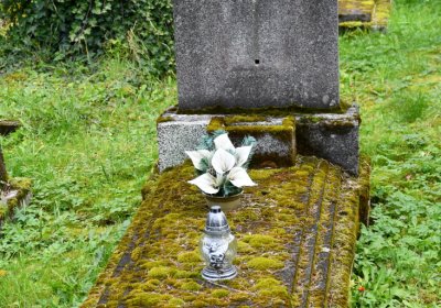 Vejprty, Omnium, 2020