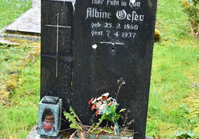 Vejprty, Omnium, 2020