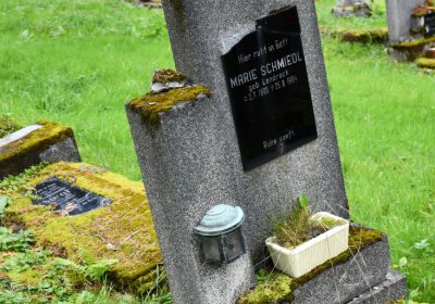 Vejprty, Omnium, 2020