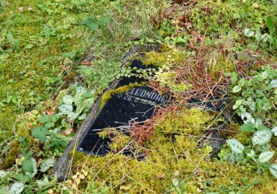 Vejprty, Omnium, 2020