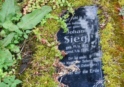 Vejprty, Omnium, 2020