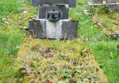 Vejprty, Omnium, 2020