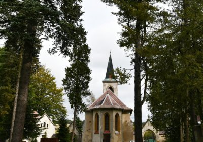 Vejprty, Omnium, 2020