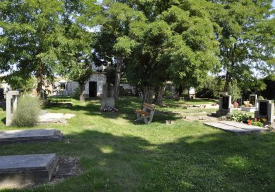 Sedláček Hugo, 2016