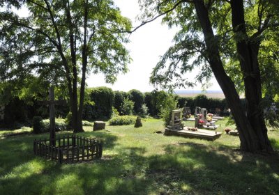 Sedláček Hugo, 2016