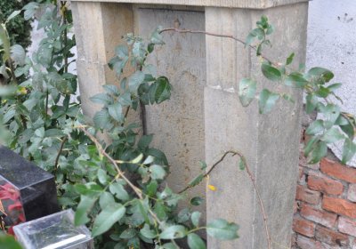 Vitčice, Omnium, 2020