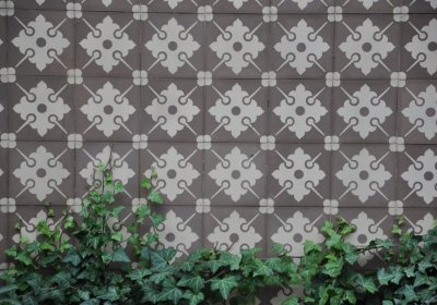 Vitčice, Omnium, 2020