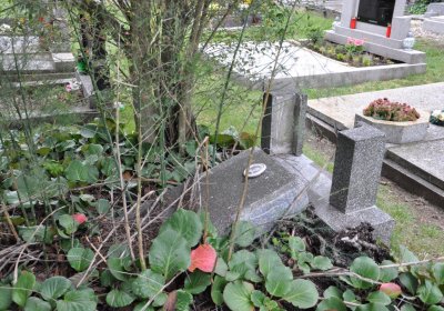 Vitčice, Omnium, 2020