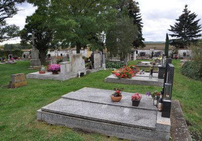 Vitčice, Omnium, 2020